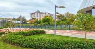 Профессиональное озеленение улиц в Луховицах в октябре