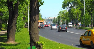 Посадка деревьев и кустарников в Луховицах — стоимость от 1241 руб.